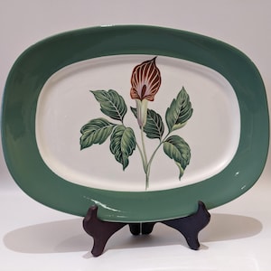 May include: A green oval serving platter with a white centre featuring a stylised illustration of a brown and white flower with green leaves.
