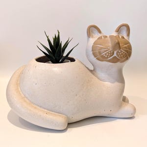 Può includere: Una fioriera a forma di gatto in ceramica bianco sporco con dettagli marroni. Il gatto è seduto, con un corpo rotondo e un viso dettagliato. Una piccola pianta succulenta è all'interno. Adatto per l'arredamento della casa.