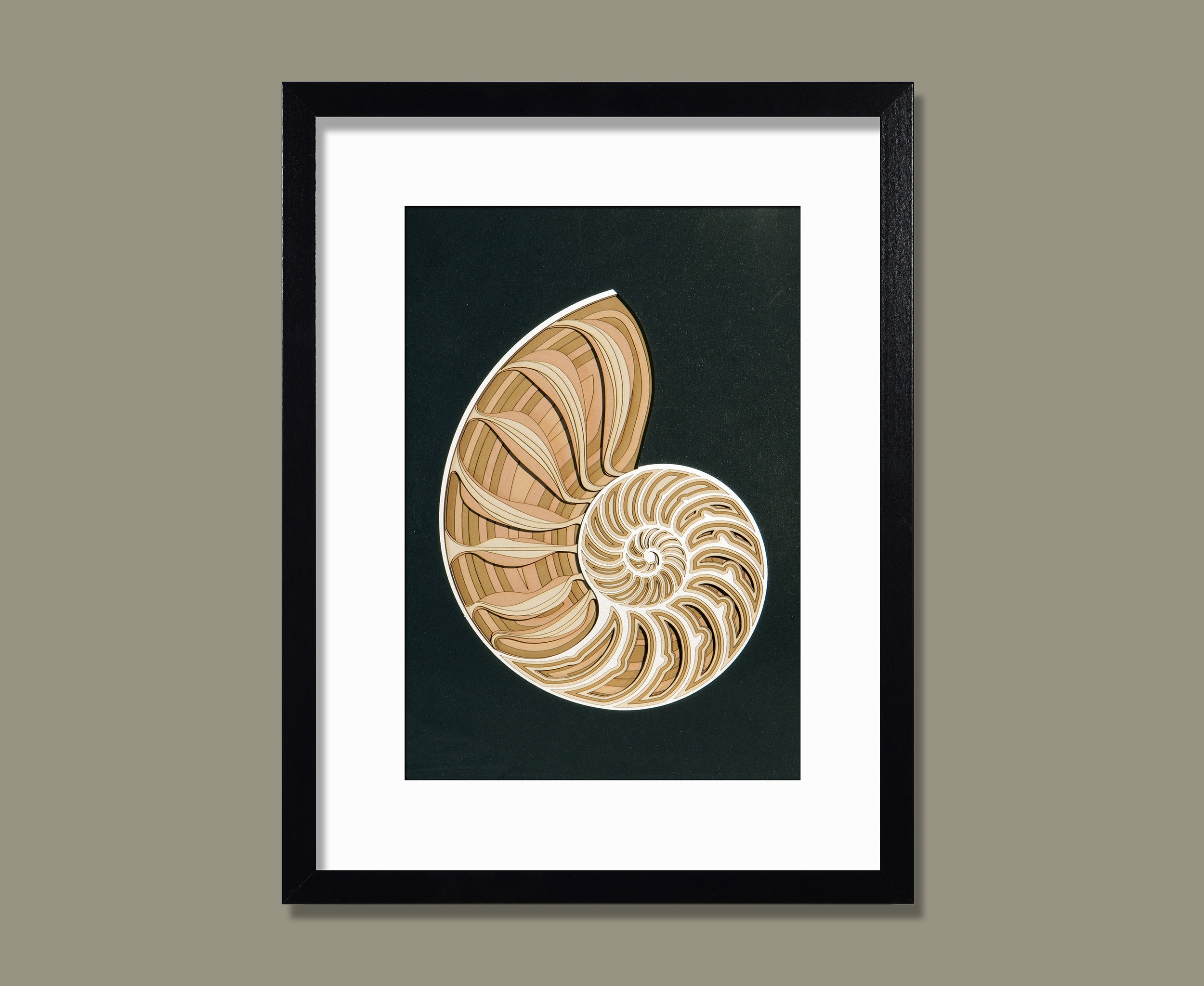 Nautilus shell - Etsy 日本