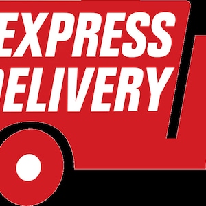 May include: A red delivery truck with the words "EXPRESS DELIVERY" in white letters on the side. The truck has a white circle for a wheel and a white rectangle for a window.