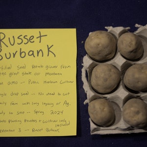 Russet Burbank Certified Seed Potatoes