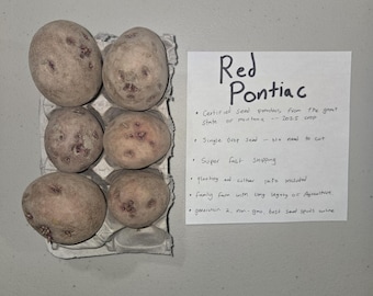 Red Pontiac Certified Seed Potatoes