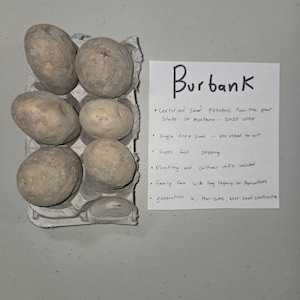 May include: A close-up of Burbank seed potatoes in a cardboard container. A handwritten note next to the potatoes reads "Burbank" and lists details about the seed potatoes, including that they are from the 2025 crop.