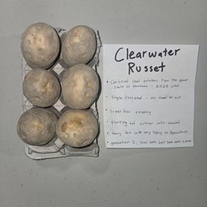 Clearwater Russet Certified Seed Potato