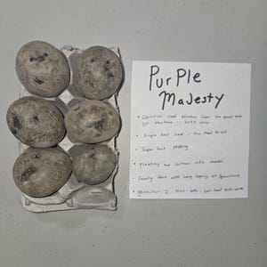 May include: Six purple potatoes in a cardboard egg carton next to a handwritten note that reads "Purple Majesty". The note lists details about the potatoes, including being from the 2023 crop and grown on a family farm.