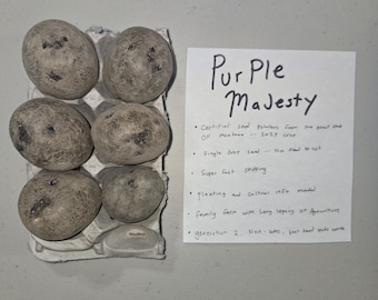 Purple Majesty Certified Seed Potatoes
