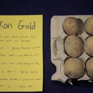 Yukon Gold Certified Seed Potatoes