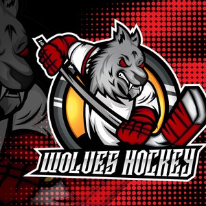I will create custom logo design, logo design, business logo, professional logo design, mascot logo, Custom Mascot Logo Design, Logo Maker