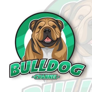 Dog Logo Design, Pet Logo, Professional Logo Design, Pet Salon Logo,Veterinary Logo, Pet Shop Logo, Custom Logo Design, Dog Care Logo