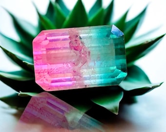 Juicy Sweet Bicolor Tourmaline from Afghanistan| Untreated | Unheated| 4.8 carat