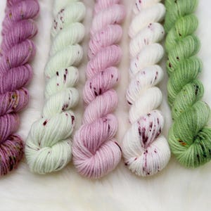 HELLEBORE SEASON Mini Set 5x20g Allrounder 4ply 100g Fio de lã merino tingido à mão Fio de meia tingido à mão