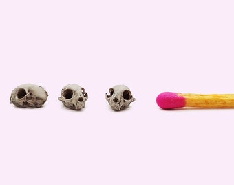 Cat Skull Replica - 1:24 scale feline cranium for diorama, miniature horror scenes, dollhouse, dice inserts and jewelry making (set of 5)