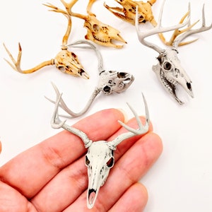 White Tail Deer skull with Antlers 1:12 scale miniature realistic animal cranium for diorama, dollhouse, art and craft supplies 1 skull image 1
