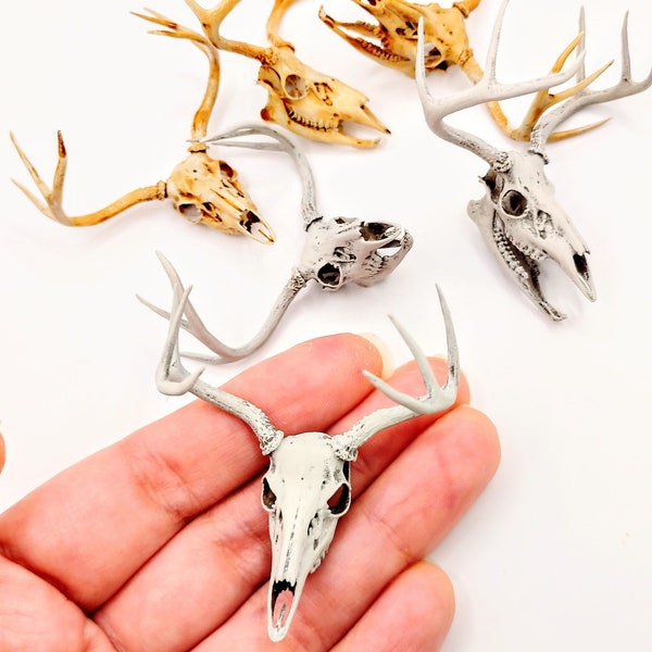 White Tail Deer skull with Antlers - 1:12 scale miniature realistic animal cranium for diorama, dollhouse, art and craft supplies (1 skull)