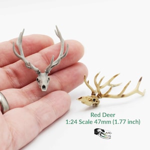 Red Deer Skull - 1:24 Scale Replica Miniature for Dollhouse, Diorama, Animal Curiosities and Oddities Art and Craft Supplies (1 skull)