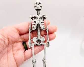 Human Skeleton Full - 1:12 scale miniature size for horror diorama, dollhouse, arts and crafts, replica curiosities oddities (1 skeleton)