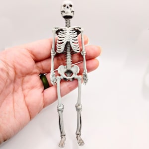 Human Skeleton Full - 1:12 scale miniature size for horror diorama, dollhouse, arts and crafts, replica curiosities oddities (1 skeleton)