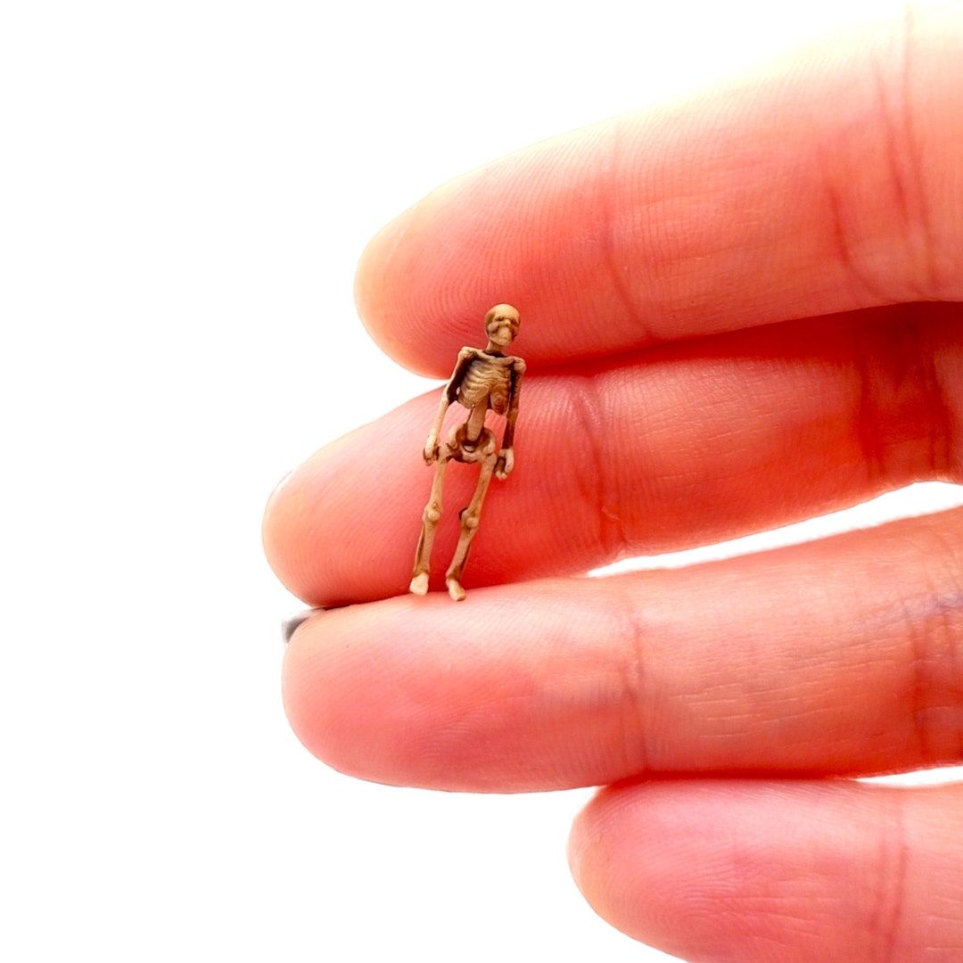 Human Skeleton - HO Scale 1:87 Miniature for Horror Diorama, Dollhouse ...