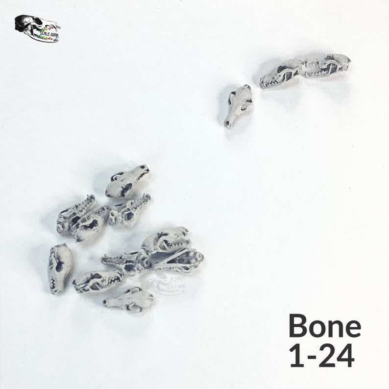 Red Fox Skull Miniatures - 1:24 Scale dollhouse decoration diorama supplies jewelry dice art craft diy realistic replica oddities (5 skulls) Bone