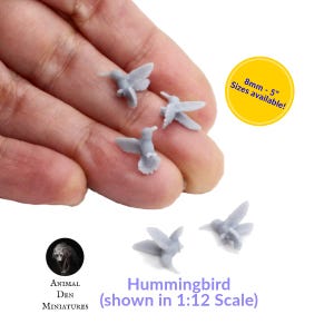 Hummingbird - 1:12 Scale and other sizes for dollhouse and diorama tiny miniature bird animal figurine by Animal Den Miniatures