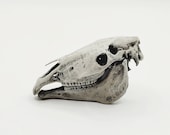 Horse skull Replica - Full 1 12 6 inch scale skull for diorama, miniature horror scenes, and action figure photography