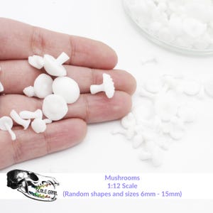 May include: A collection of small, white mushroom miniatures in various shapes and sizes, ranging from 0.24 to 0.59 inches. Some mushrooms are held in a hand, while others are scattered nearby. The image includes text that reads "Mushrooms 1:12 Scale".
