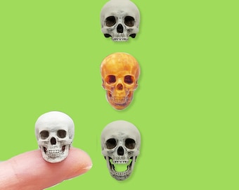 Menschlicher Schädel Replik, 1:18 Miniatur-5er-Set ideal für 3,75 "Dioramen, Horror-Szenen, Terrarien. Actionfiguren-Zubehör (5er-Set)