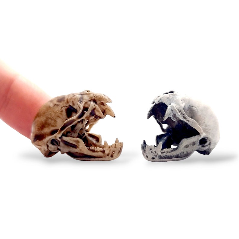 K&ouml;nnte beinhalten: Zwei Miniatur-Tiersch&auml;del, einer in einem warmen Braunton und der andere in einem k&uuml;hlen Grauton, beide mit detaillierten Z&auml;hnen und offenen Kieferstrukturen. Diese kleinen, realistischen Nachbildungen werden nebeneinander gezeigt.