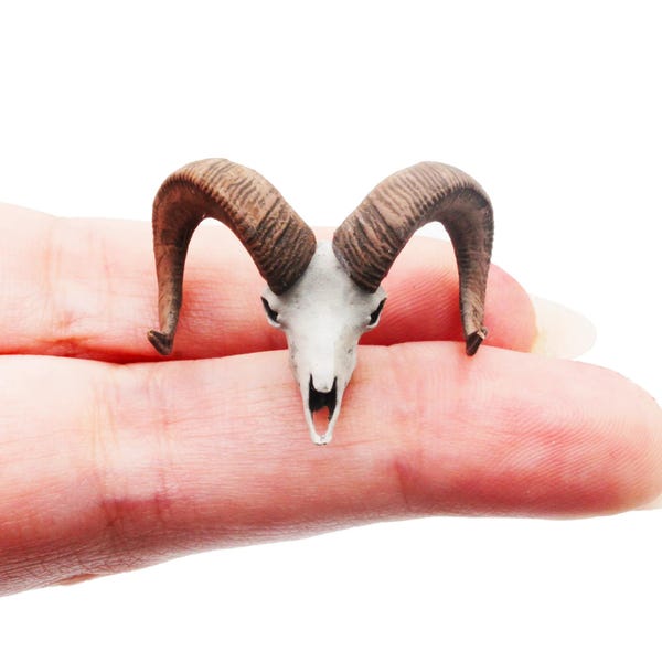 Big horn sheep skull replica, 1:24 scale miniature cranium for fairy garden, dioramas, dollhouses, art craft supply by The Scale Grail
