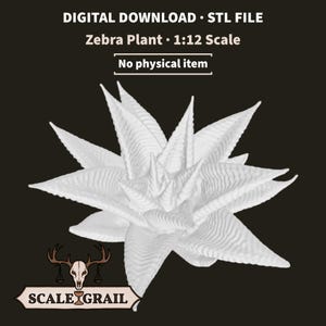 Può includere: Un file STL in download digitale per una pianta zebra in scala 1:12. La pianta bianca renderizzata in 3D presenta foglie appuntite e testurizzate a forma di stella. Testo: DIGITAL DOWNLOAD • STL FILE, Zebra Plant • 1:12 Scale, No physical item.