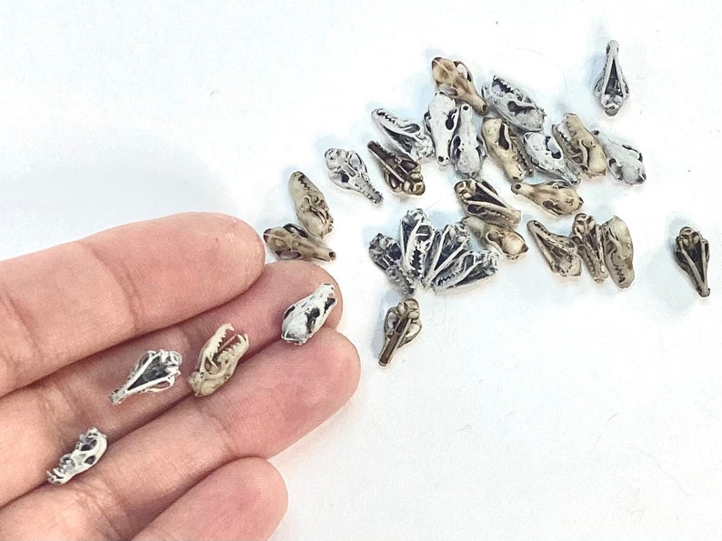 Red Fox Skull Miniatures - 1:24 Scale dollhouse decoration diorama supplies jewelry dice art craft diy realistic replica oddities (5 skulls) image 2