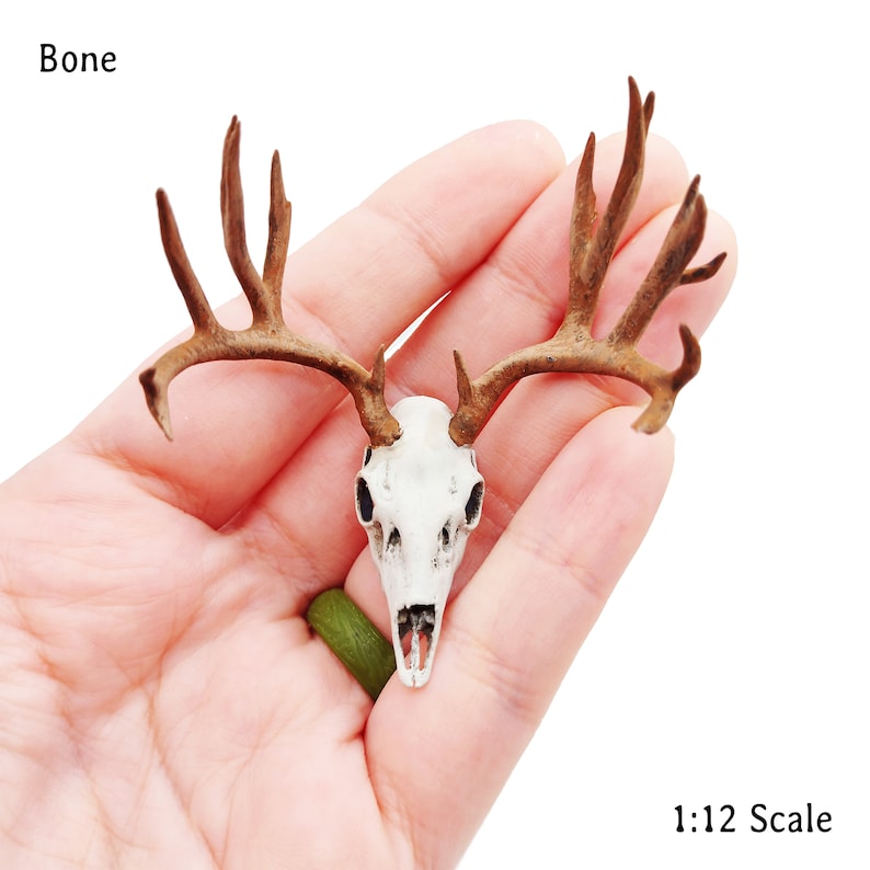 May include: A miniature deer skull with antlers, painted in brown and white, with the text "Bone" and "1:12 Scale" visible in the image.