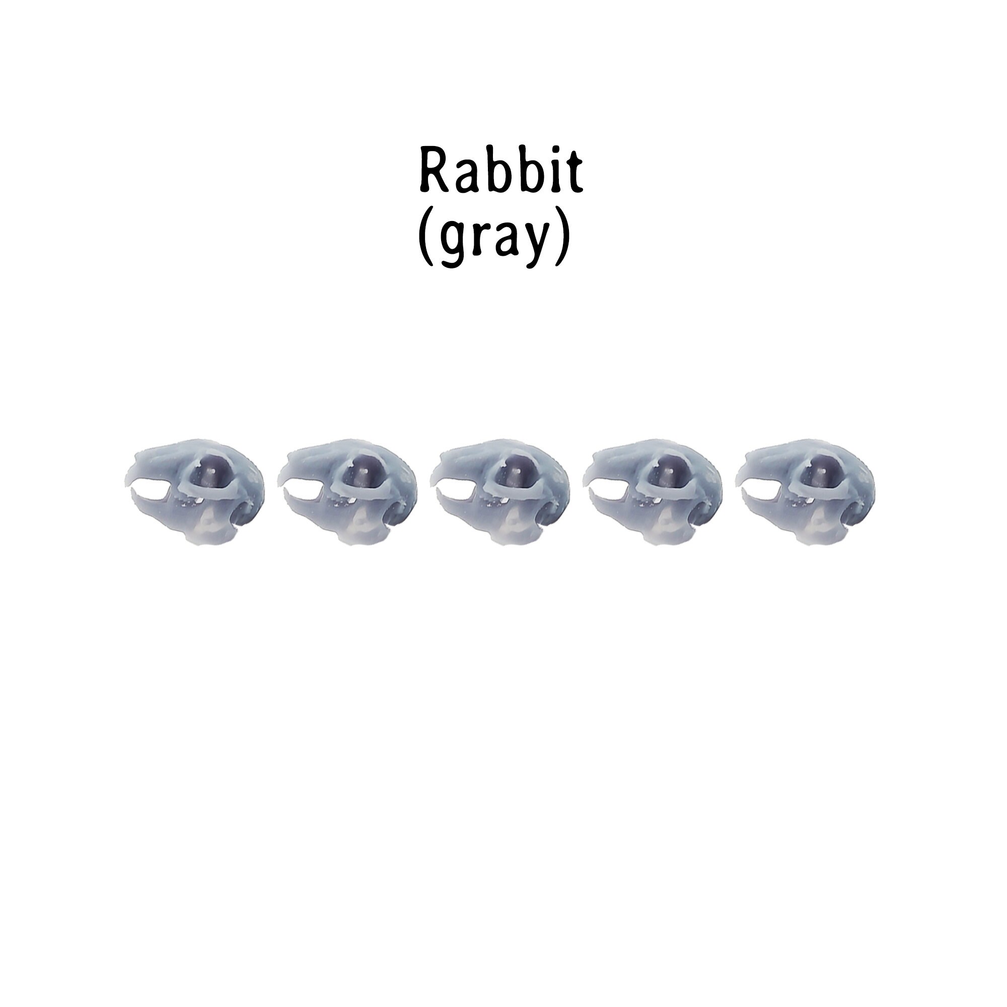 Rabbit Skull Replica 1:12 Scale Miniature Bunny Cranium 3d - Etsy