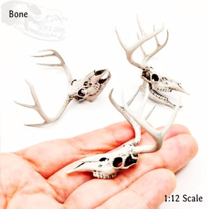 White Tail Deer skull with Antlers 1:12 scale miniature realistic animal cranium for diorama, dollhouse, art and craft supplies 1 skull Bone (hand painted)