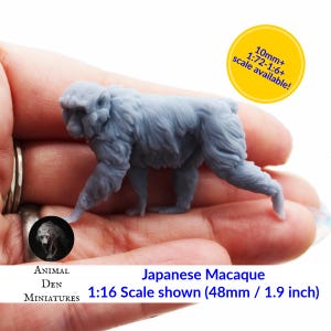 May include: A light grey miniature Japanese Macaque monkey, approximately 4.8 cm long, is held in a hand. The miniature is part of the Animal Den Miniatures collection. Text on the image indicates scale availability.