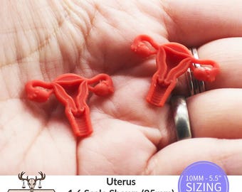 Uterus Replica Human Anatomy Miniature for Dollhouse Diorama Resin Art and Craft supplies by The Scale Grail - 10MM to 5.5" Sizes