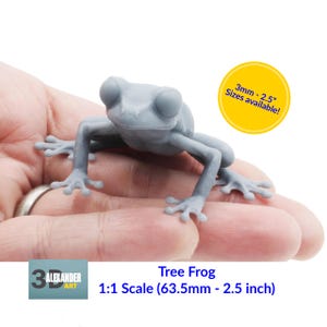 Puede incluir: Una figura de rana de árbol impresa en 3D de color gris, a escala 1:1, que mide 6,35 centímetros o 2,5 pulgadas. La rana está posada con las patas extendidas, como si estuviera sentada en una mano. La imagen incluye el texto "3mm - 2.5" Sizes available!" y "Tree Frog 1:1 Scale (63.5mm - 2.5 inch)".