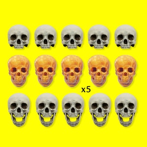 Human Skull Replica, 1:12 scale miniature for dioramas, horror scenes, terrariums. Fun action figure accessories (set of 5)