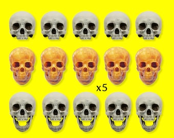 Human Skull Replica, 1:12 scale miniature for dioramas, horror scenes, terrariums. Fun action figure accessories (set of 5)