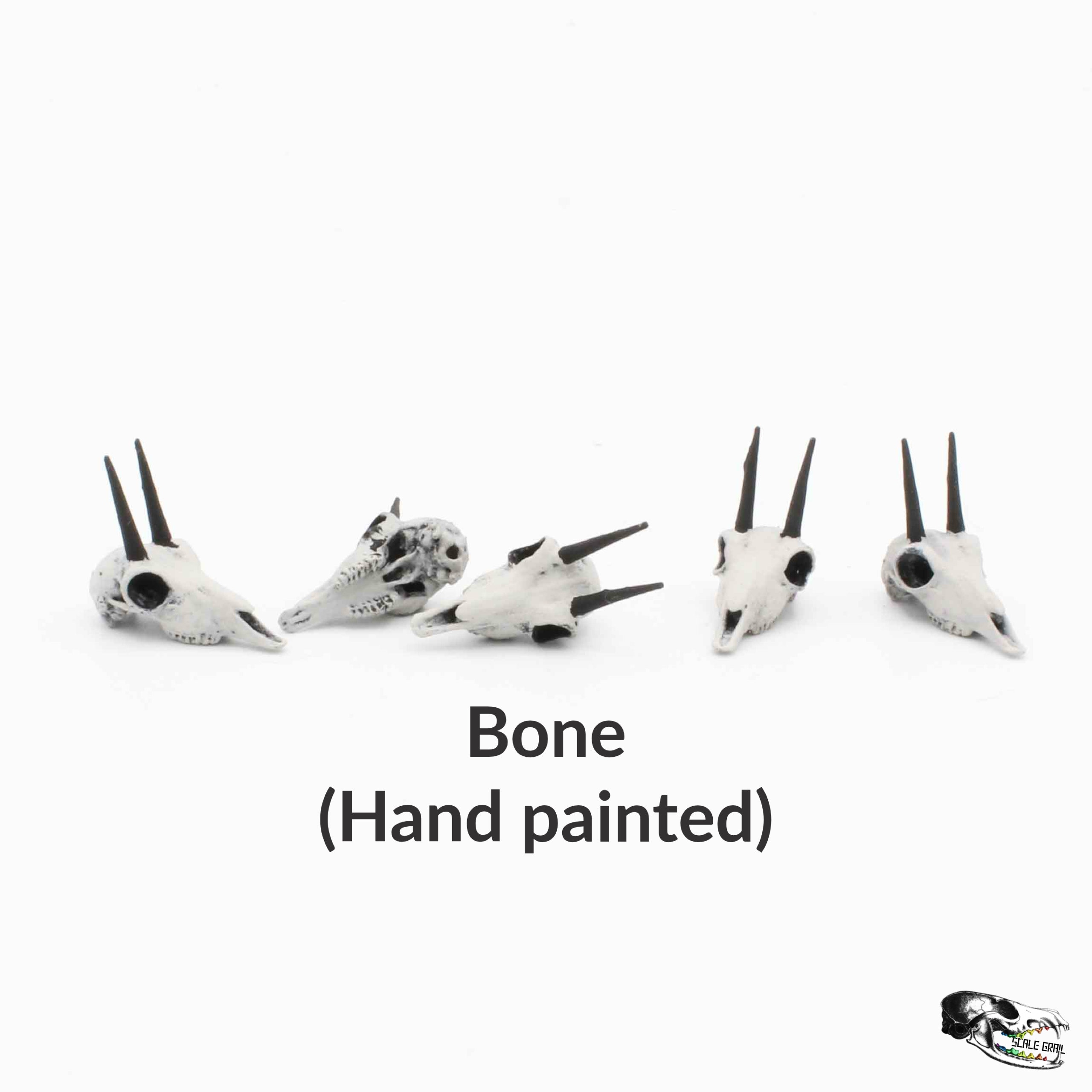 Rhebok Skull - 1:12 Scale Antelope Skull Replica for Dollhouse, Diorama ...