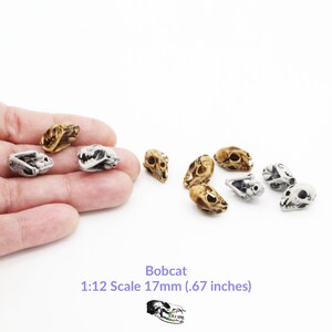 Bobcat Skull - 1:12 Scale Miniature Replica Feline dollhouse diorama figurine art and craft supplies oddity and curiosity (5 skulls)