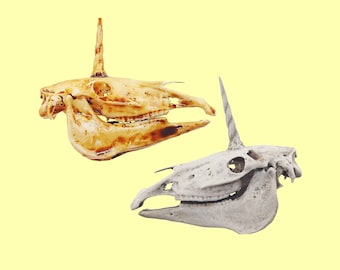 Unicorn Skull Replica, 1:12 Scale miniature mythical fantasy animal cranium for use in dollhouse, diorama, models, terrarium (1 skull)