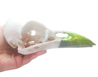 Raven Skull, 8" PLA print, 2-tone white with black/green color shift, unpainted decorative skull with Gloss finish