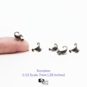 May include: Five miniature gray scorpions, each measuring 7mm (.28 inches) in size. The scorpions are posed in a variety of positions, with one scorpion perched on a finger.