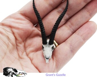 Grant's Gazelle - 1:12 Scale Antelope Accessories for dollhouse and diorama 3d model by The Scale Grail (1 figure)