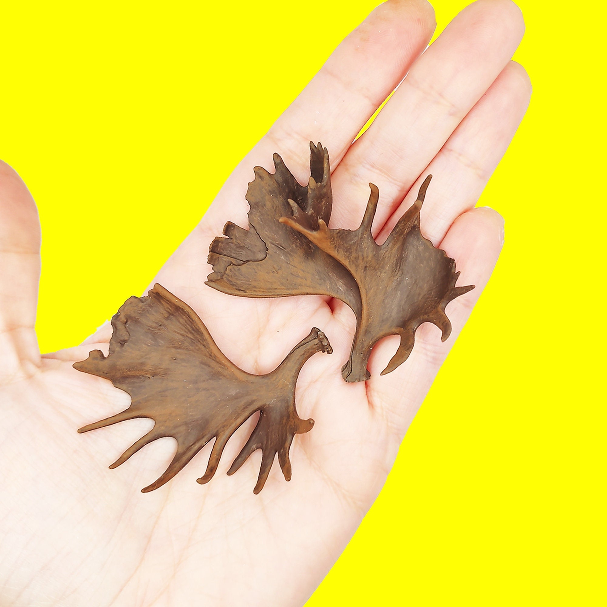 Moose Antler Replica, Miniature Antlers for 1:12 scale dioramas, horror scenes, terrariums, dollhouse, miniature custom supplies. (set of 2)