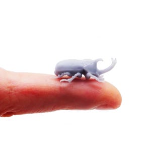 Peut inclure: Une figurine de petit scarabée gris clair avec une corne proéminente et des pattes détaillées. L'insecte miniature est posé sur un doigt, mettant en valeur sa taille et son design complexe. Le fond est blanc uni, mettant en valeur le scarabée.