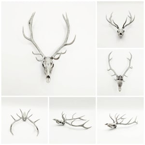 Red Deer skull with Antlers - 1:12 scale cranium for diorama, dollhouse decorations, art and craft curiosities and oddities supply (1 skull)