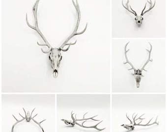 Red Deer skull with Antlers - 1:12 scale cranium for diorama, dollhouse decorations, art and craft curiosities and oddities supply (1 skull)