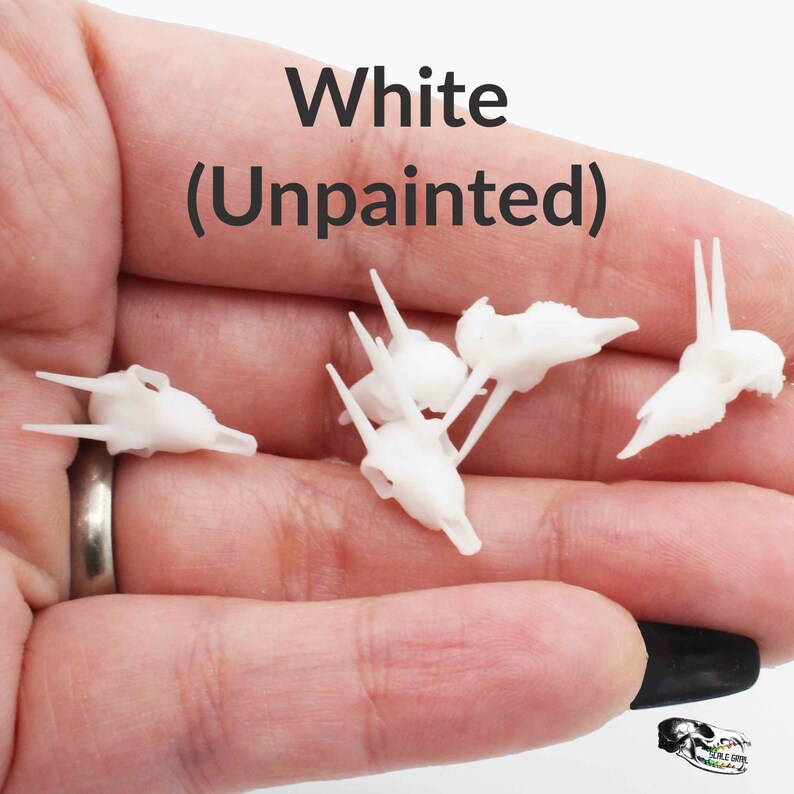 Rhebok Skull - 1:12 Scale Antelope Skull Replica for Dollhouse, Diorama ...